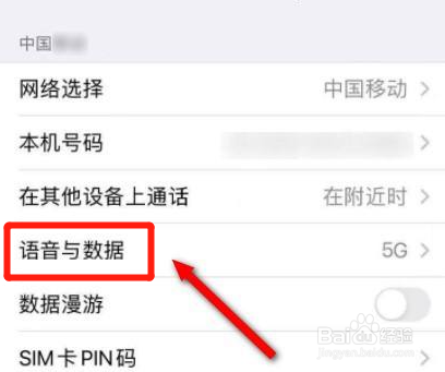 苹果手机独立5G怎么打开