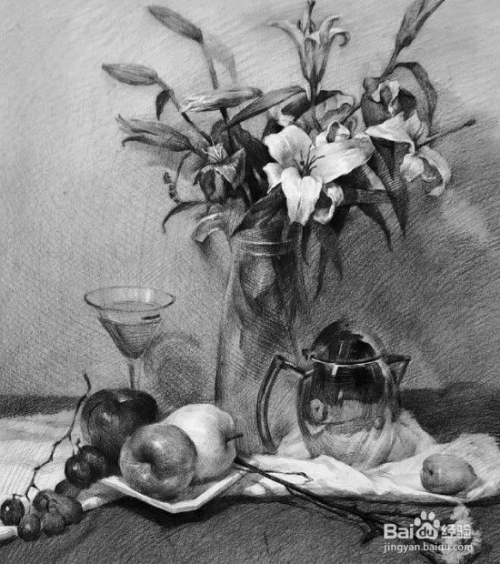 素描花卉静物素描步骤