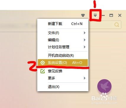 IE浏览器迅雷下载和自带下载器间的相互切换
