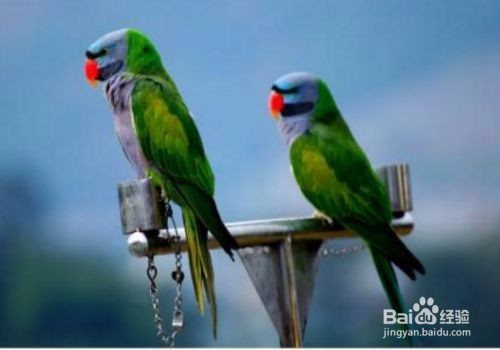 送父亲什么礼物合适