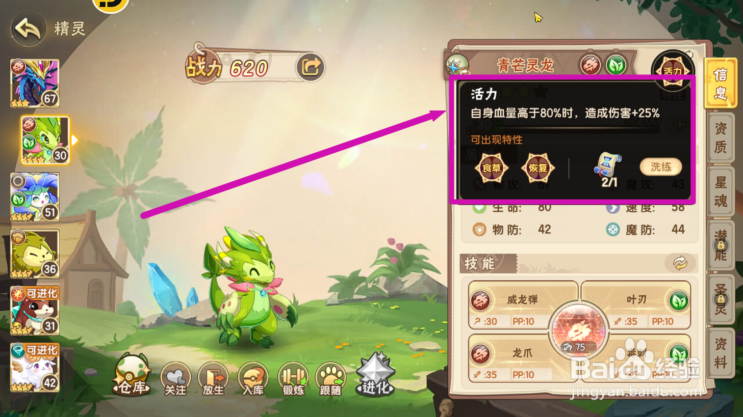 西普大陆怎么查看青芒灵龙【活力】特性