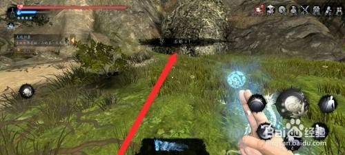 捕盗行纪如何才能采摘到石斛药材