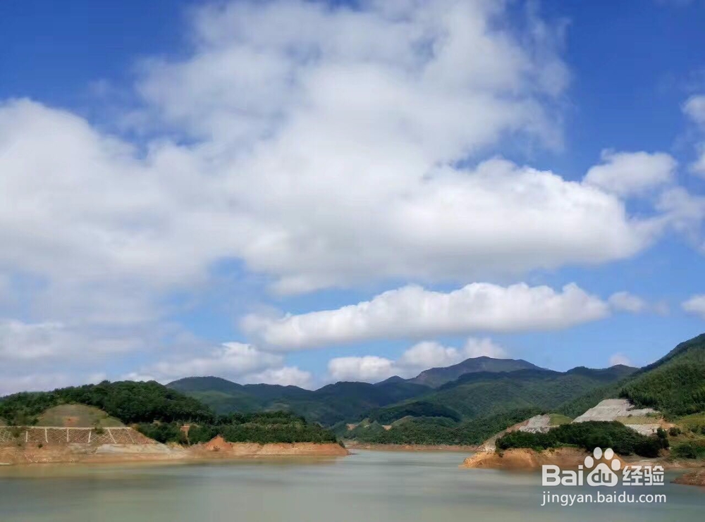 冰箱活性炭除味盒怎么放