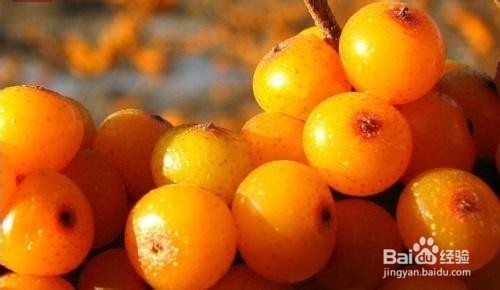 冬季那些水果具有护肤美白效果