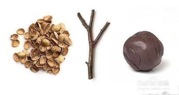 美美哒装饰坚果树 你的室内多了一抹秋色!