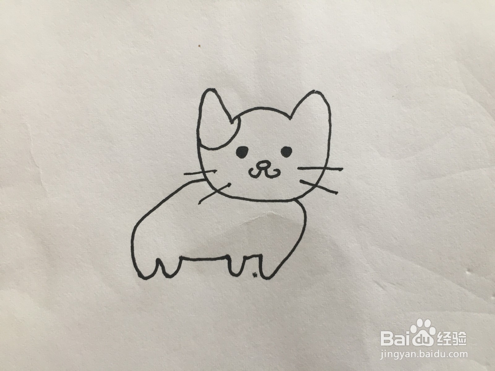 如何画小猫简笔画教程