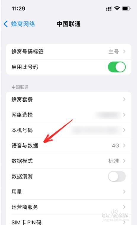 iphone13的5g开关在哪里