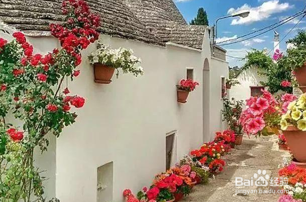 法国颜值最高的