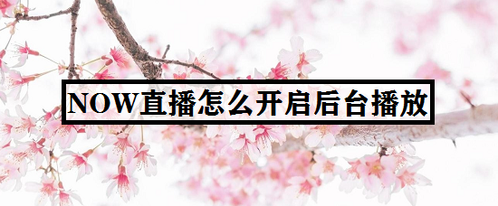 NOW直播怎么开启后台播放