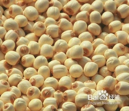 晚上睡觉多梦怎么办