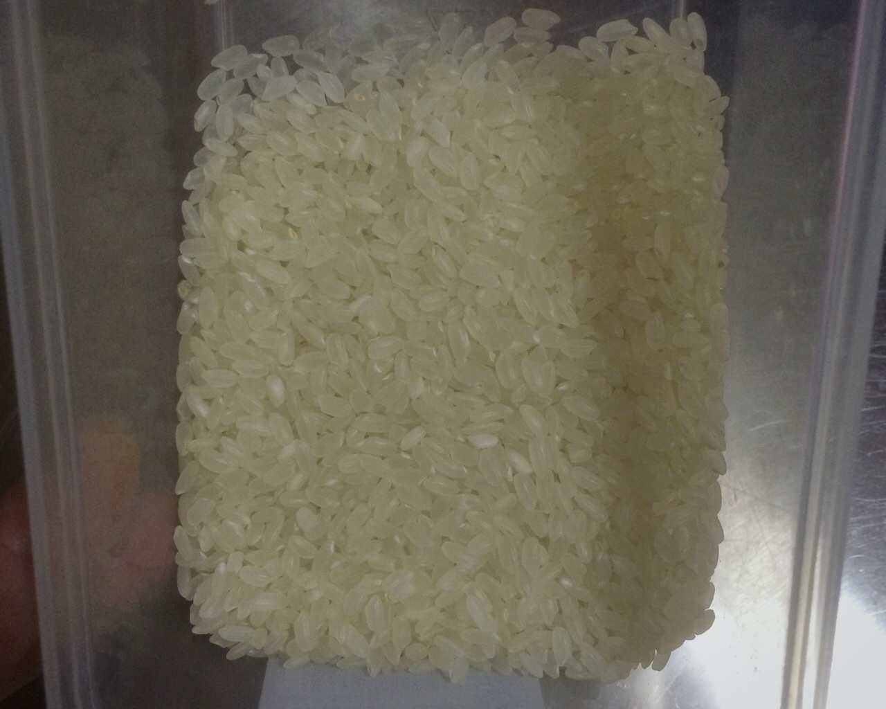 超美味的虾粥,每一口都是满满的幸福!