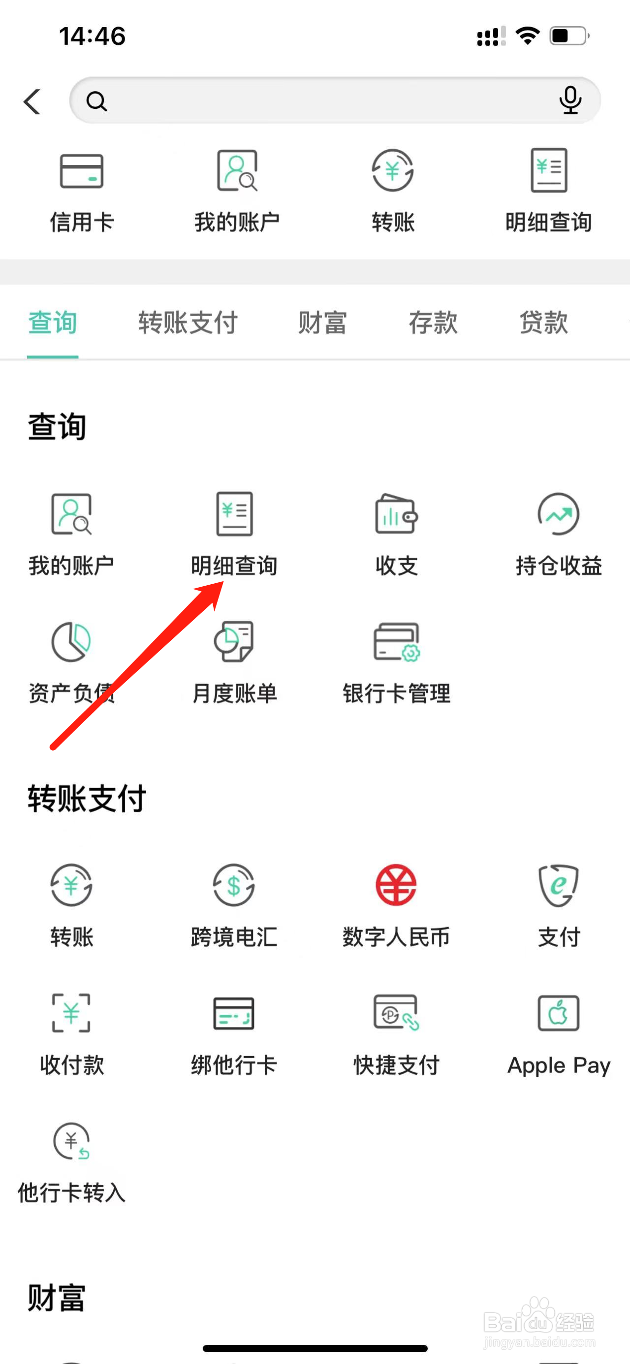 农业银行如何查看明细查询