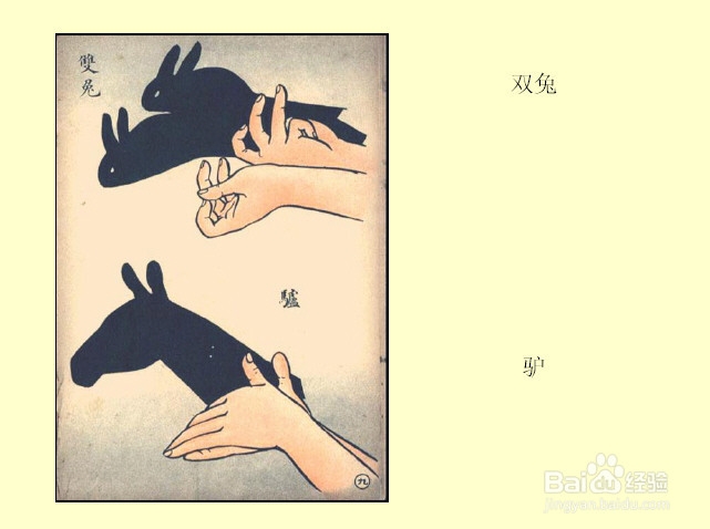 睡前跟孩子一起玩手影游戏吧