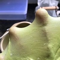 菠菜奶酪包包