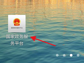 国家政务服务平台如何查看社会组织活动备案