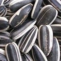 哪些食物可以健脑