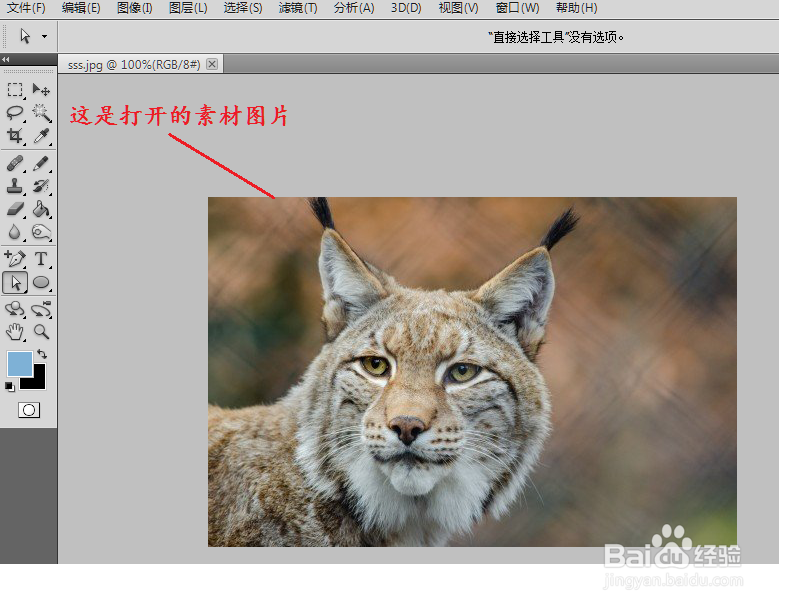 photoshop中怎么用钢笔工具抠图