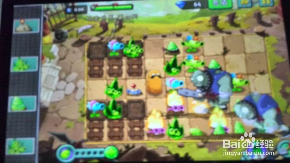 植物大战僵尸2功夫世界第29、16天攻略