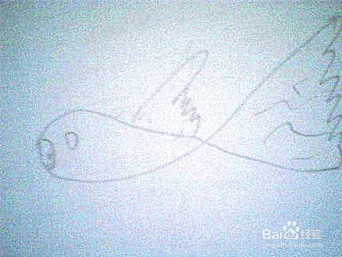 简笔画 鱼的画法: