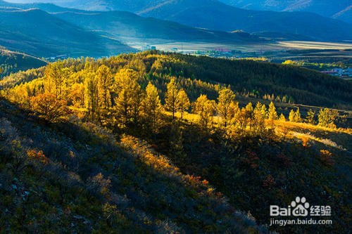 最值得去的道教名山有哪些