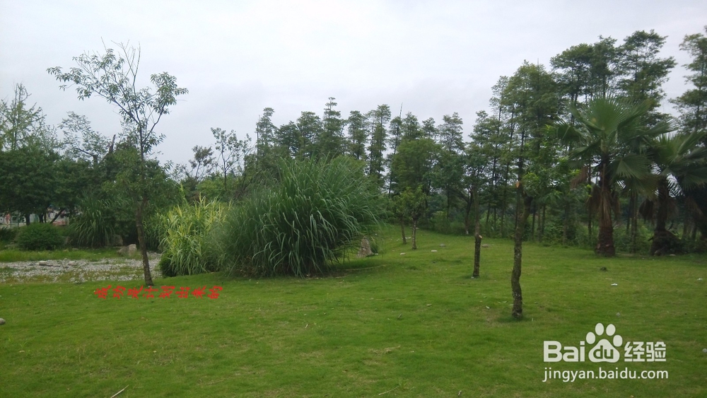 如何做好体检中心的宣传