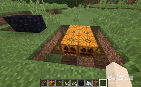 我的世界如何雕刻南瓜？