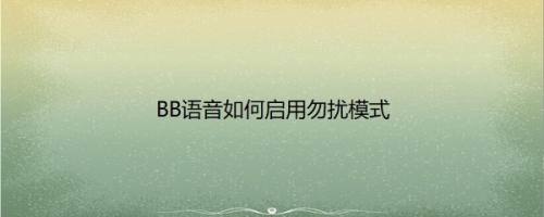 BB语音如何启用勿扰模式