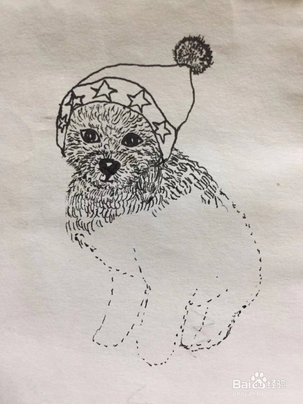 插画教程之圣诞泰迪狗