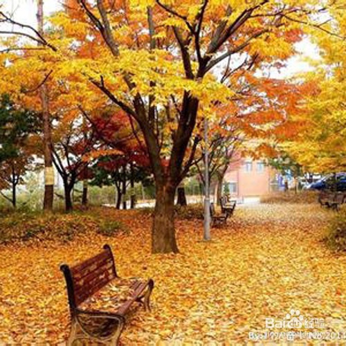 我们怎么样更加好的混在当下