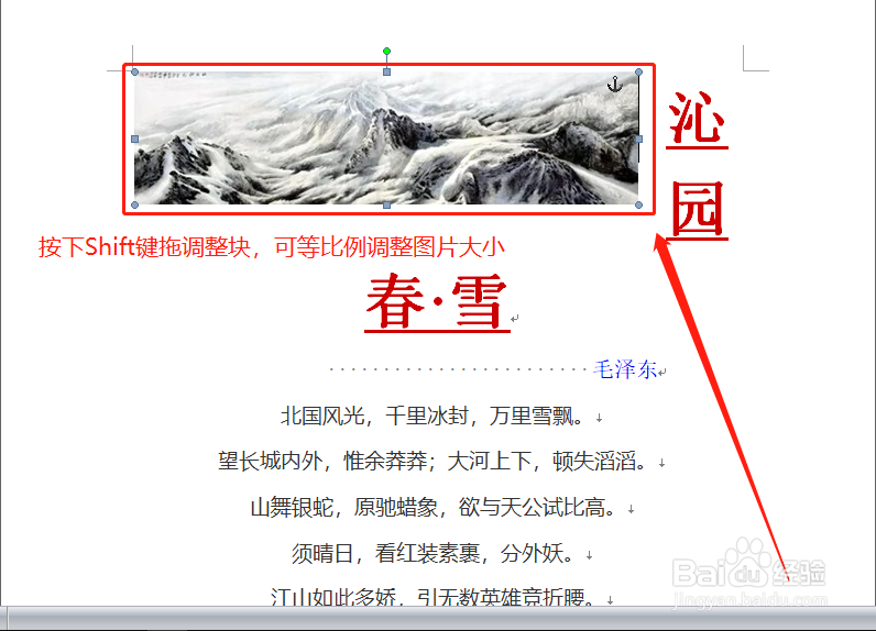 word如何/怎么快速设置插入图片大小/添加阴影?