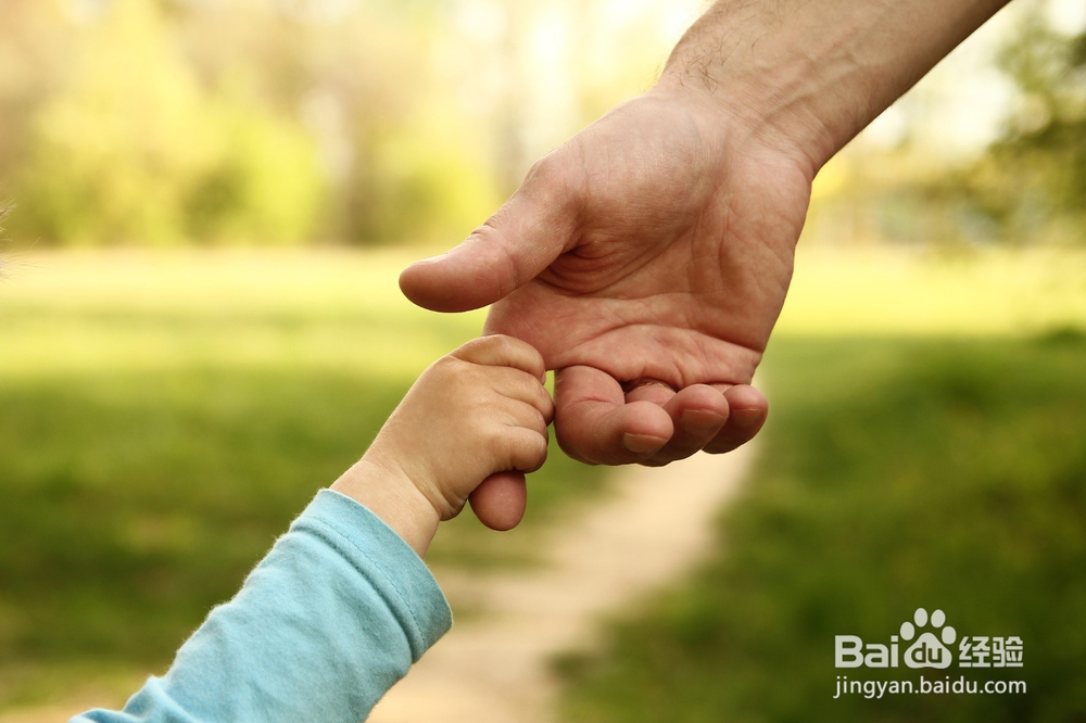 2020年填报志愿指南