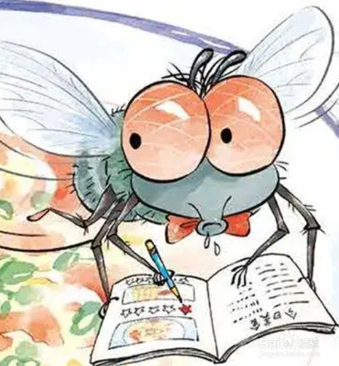 苍蝇的相关知识