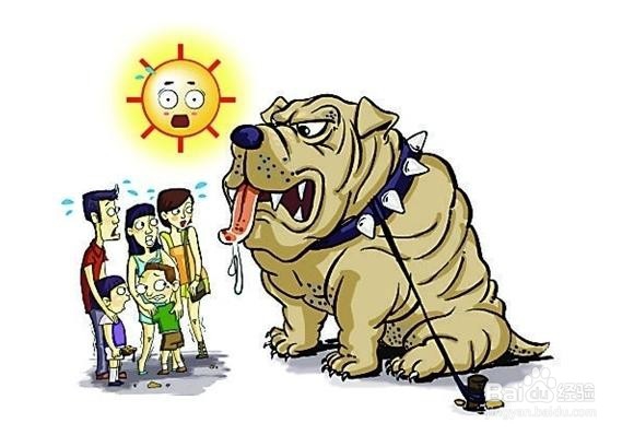 狂犬病如何预防与治疗？