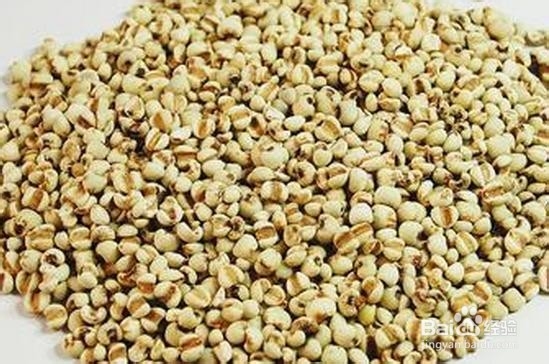 薏米的营养价值有哪些