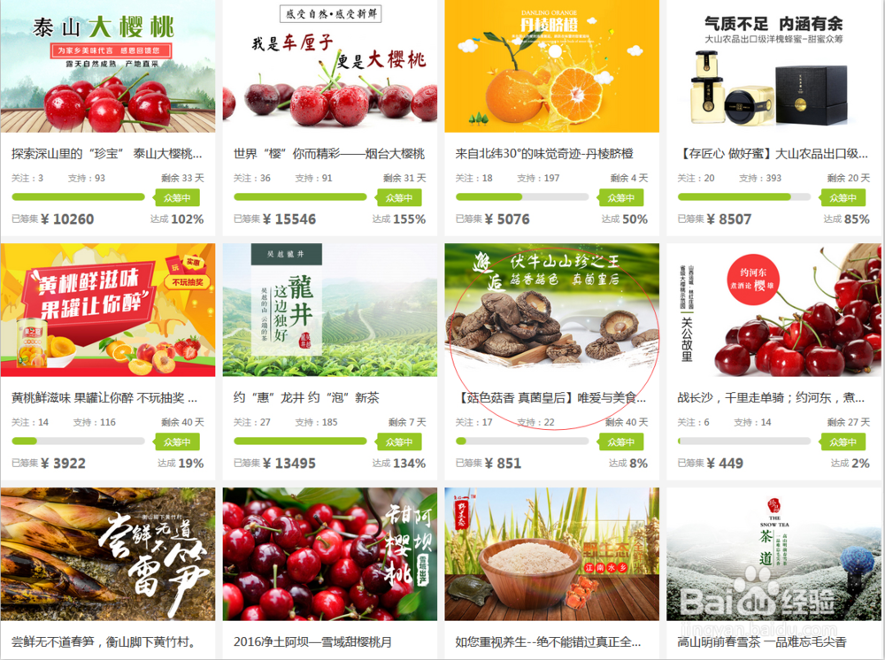 怎么对苏宁易购众筹项目发起者支持