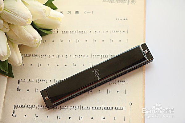 半音阶口琴应该怎么清洗比较好