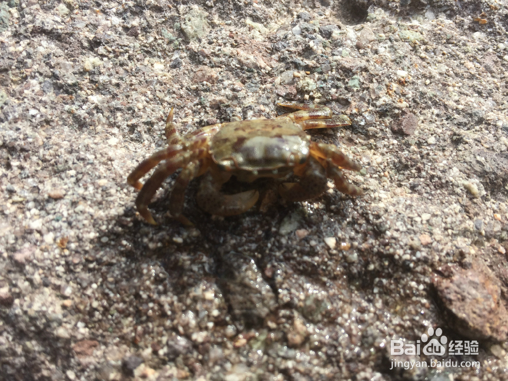 沙滩上寻找乐趣