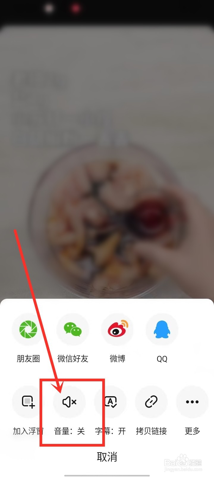 懒饭app视频静音怎么关闭