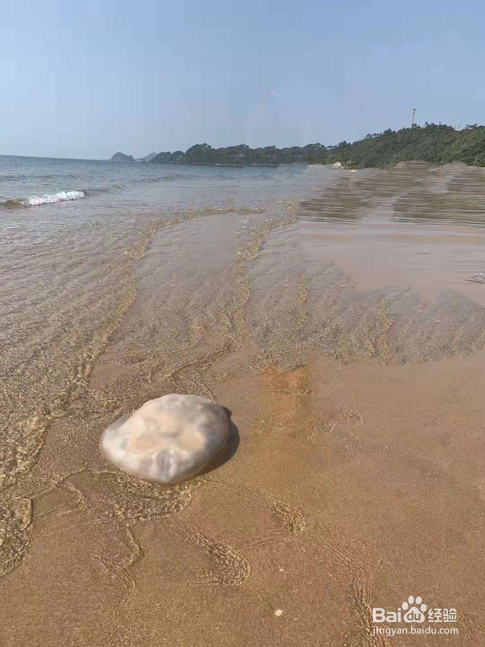 如何用PS去水印