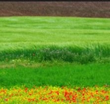 监理施工要点56