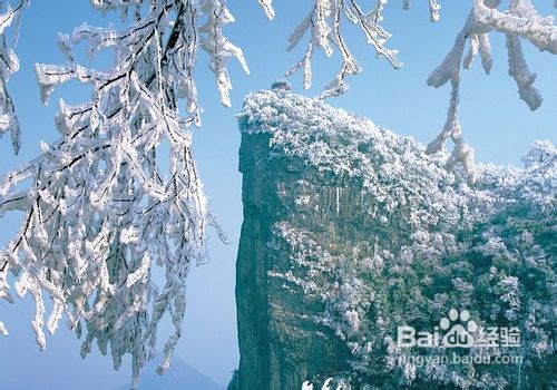 张家界跟团攻略