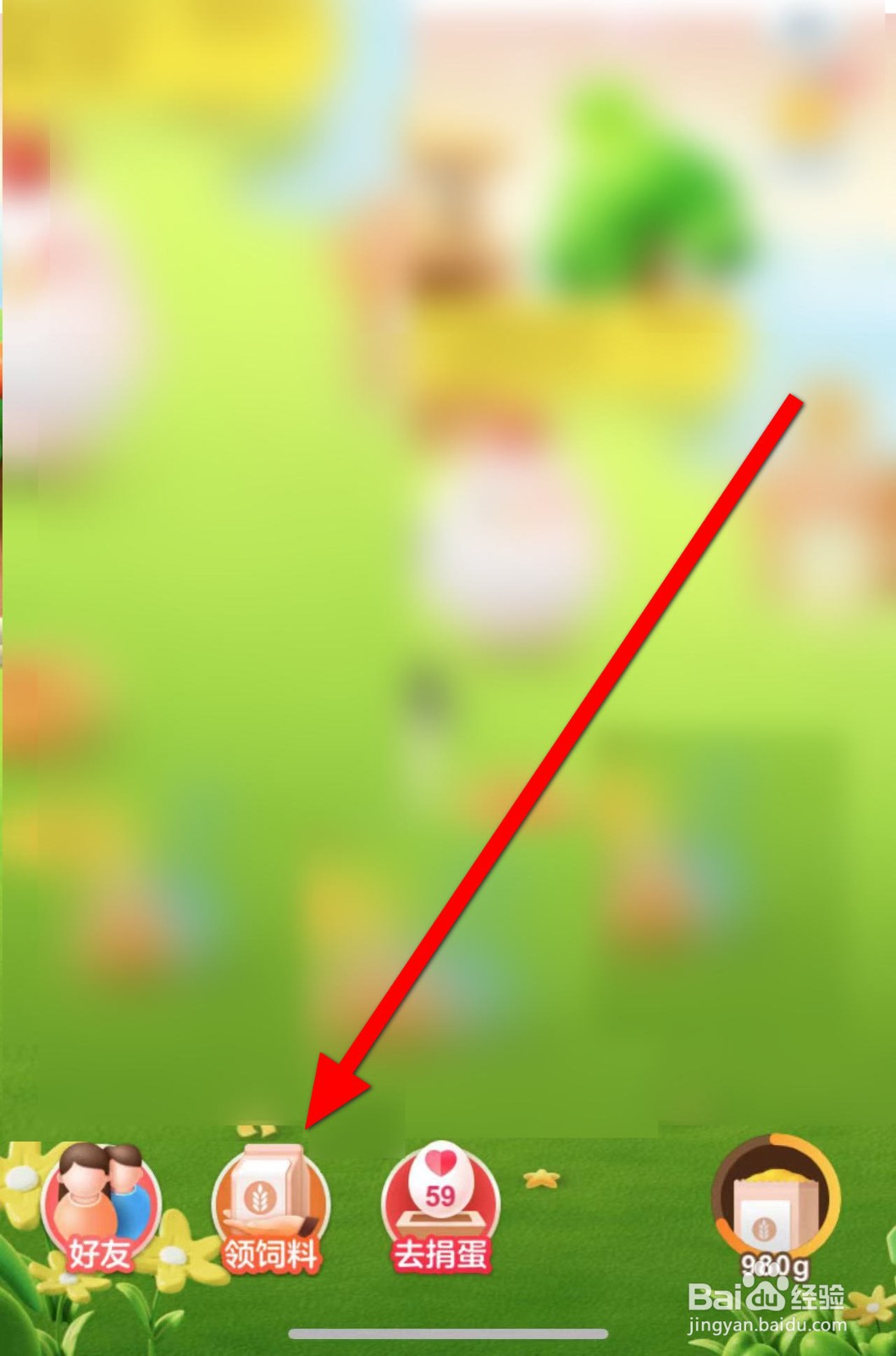 蚂蚁庄园东北地区的酸菜常以哪种蔬菜作为原料？