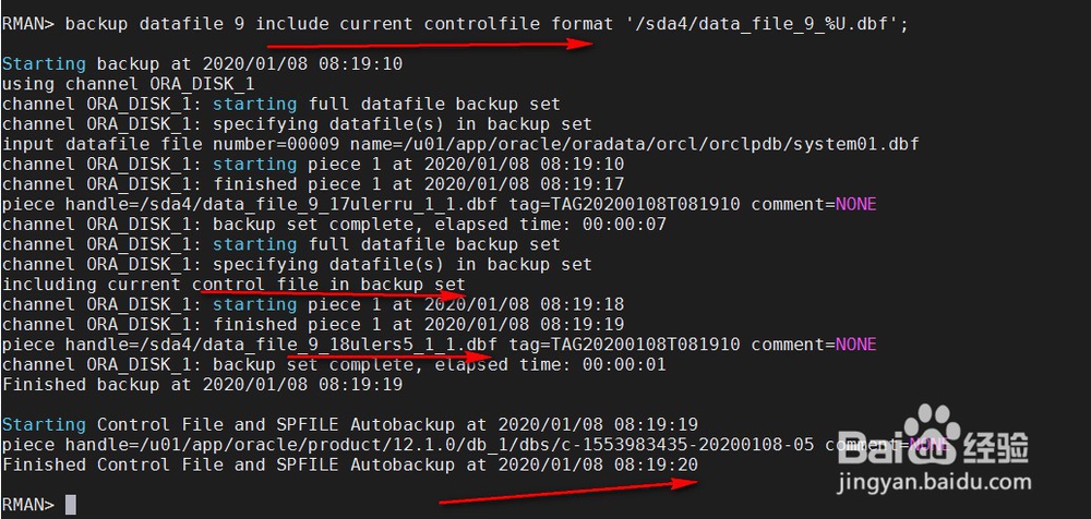 RMAN备份PLUS与INCLUDE和NOPROMPT还有input用法