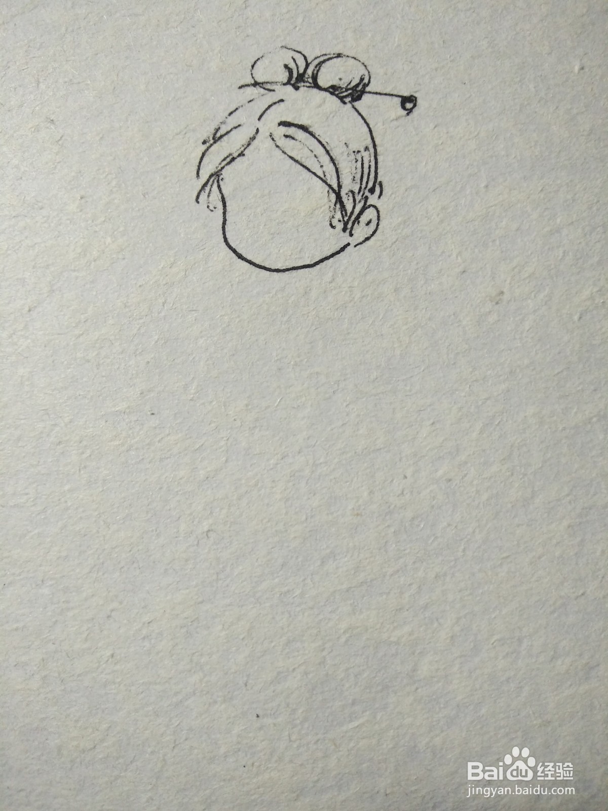 白蛇传小青简笔画