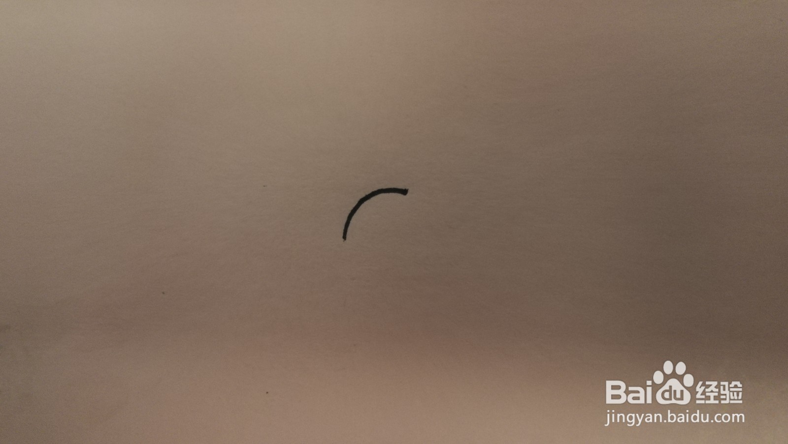 #经验分享官#大脑的简笔画