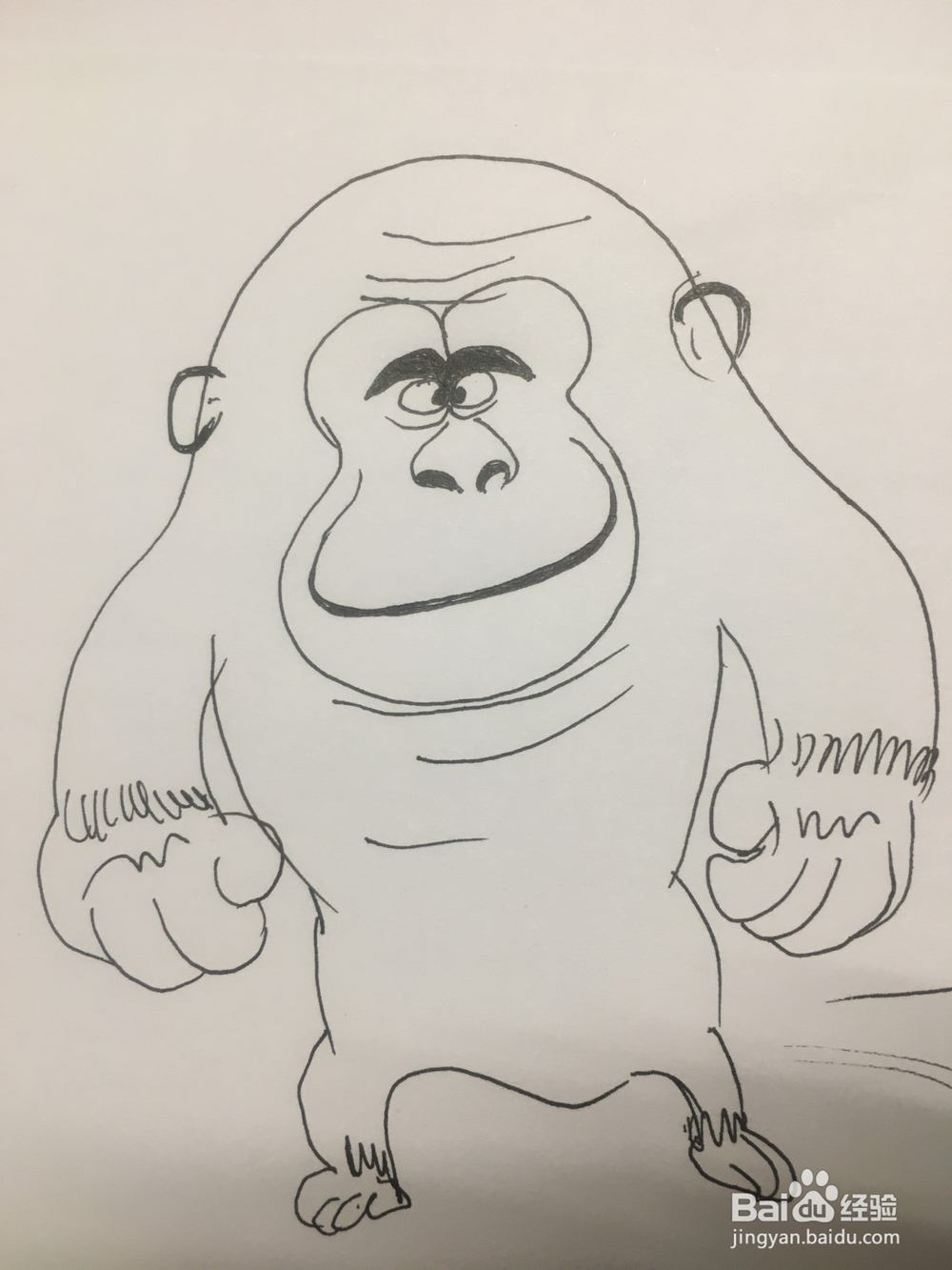 简笔画：手绘一只猩猩 儿童美术 幼儿绘画