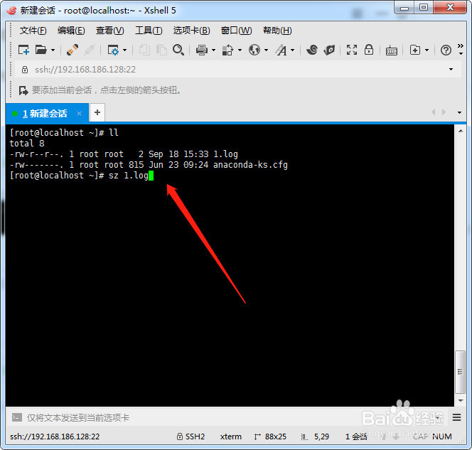 Xshell下载文件到本地