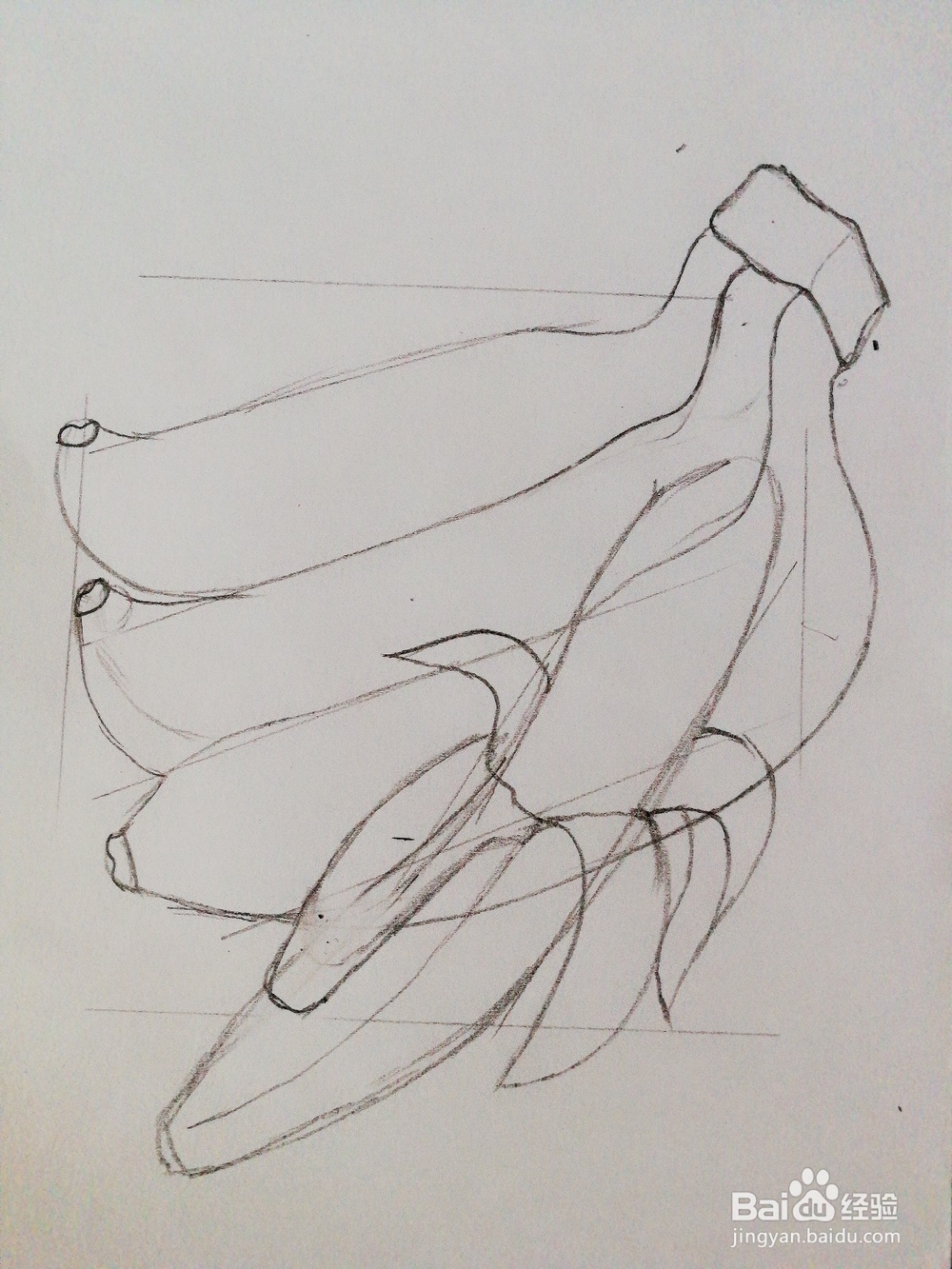 手绘四根香蕉卡通绘本插图