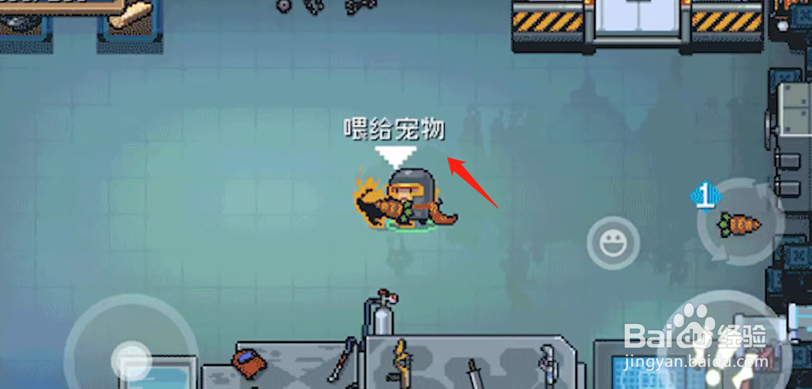 元气骑士宠物喂食方法介绍