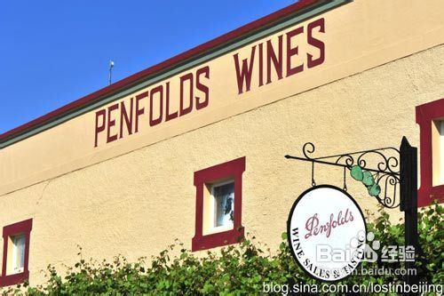 南澳葡萄香气飘散——品味澳洲美食